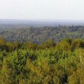 картинка блога 1